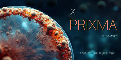 Prixma Sans Font Poster 3