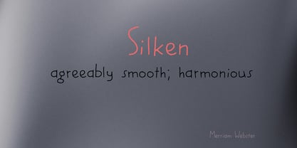 Silken Moment Pro Font Poster 5