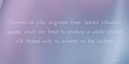 Silken Moment Pro Font Poster 4
