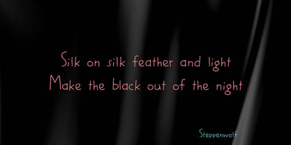 Silken Moment Pro Font Poster 3