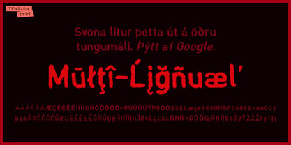 Typo 6160 Font Poster 7
