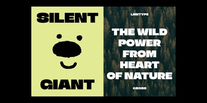 Triver Font Poster 4