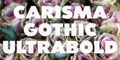 Carisma Font Poster 13
