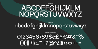 Folare Font Poster 9