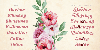Aslangie Font Poster 3