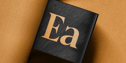 ZIA Eachmont Font Poster 10