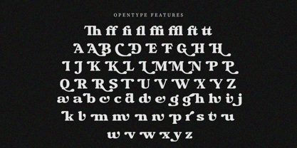 Chigora Display Font Poster 12