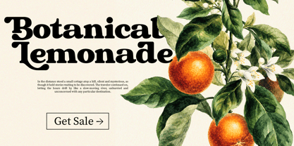 Chigora Display Font Poster 8