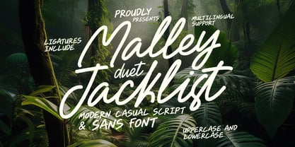Malley Jacklist Font Poster 1