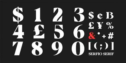 Serfio Font Poster 11