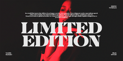 Serfio Font Poster 10