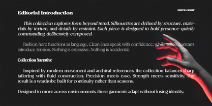 Serfio Font Poster 5