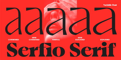 Serfio Font Poster 12