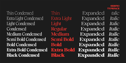 Serfio Font Poster 13