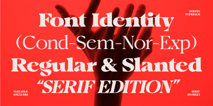Serfio Font Poster 3