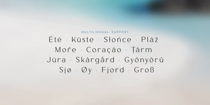 Tiree Font Poster 7