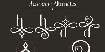Modern Chic Refined Font Poster 9