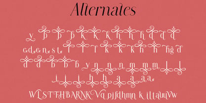 Modern Chic Refined Font Poster 10