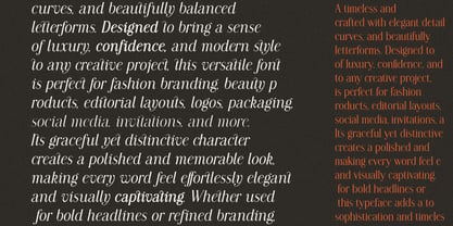 Modern Chic Refined Font Poster 8