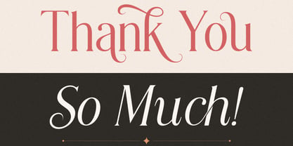 Modern Chic Refined Font Poster 14