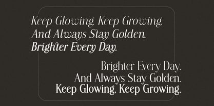 Modern Chic Refined Font Poster 4