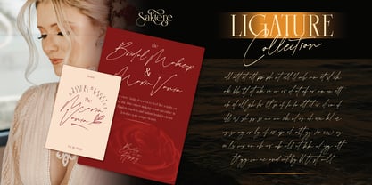 Saktere Font Poster 10