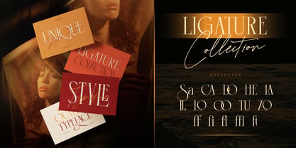 Saktere Font Poster 5