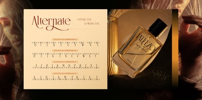 Saktere Font Poster 6