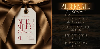 Saktere Font Poster 7