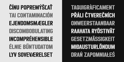 Zuboni Stencil Font Poster 14