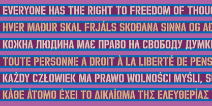 Zuboni Stencil Font Poster 11