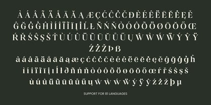 Calira Font Poster 13