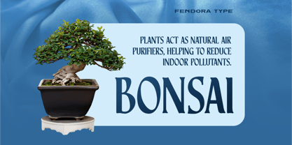 Fendora Font Poster 2