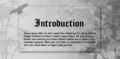 Murisa Temiz Font Poster 3