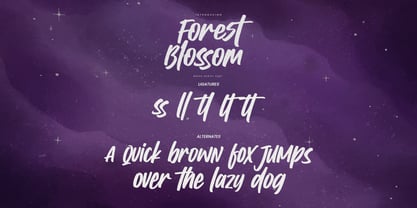 Forest Blossom Font Poster 7