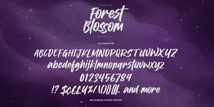 Forest Blossom Font Poster 6