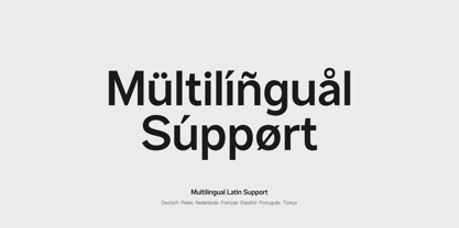 Mesveda Font Poster 14
