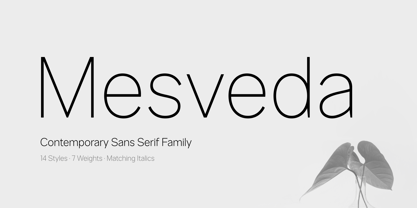 Mesveda Font Poster 1