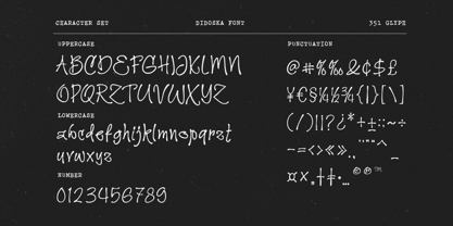 Didoska Font Poster 11