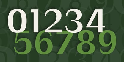 Swaraga Font Poster 10