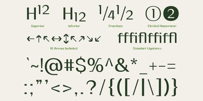 Swaraga Font Poster 13