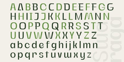 Swaraga Font Poster 2