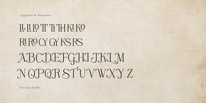 Rinovich Font Poster 12