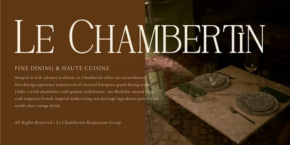Rinovich Font Poster 6