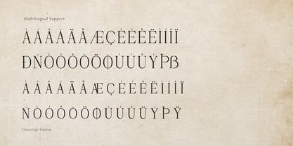 Rinovich Font Poster 11