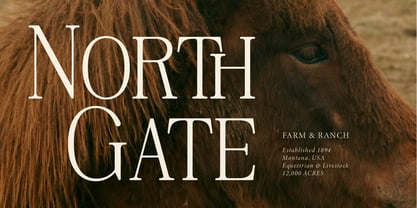 Rinovich Font Poster 4