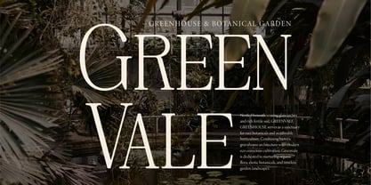 Rinovich Font Poster 5
