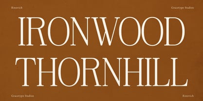 Rinovich Font Poster 2