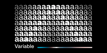 Fabric Grotesk Font Poster 5