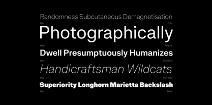 Fabric Grotesk Font Poster 3